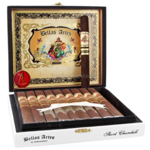 BELLAS ARTES - MADURO - Short Churchill 6 x 48